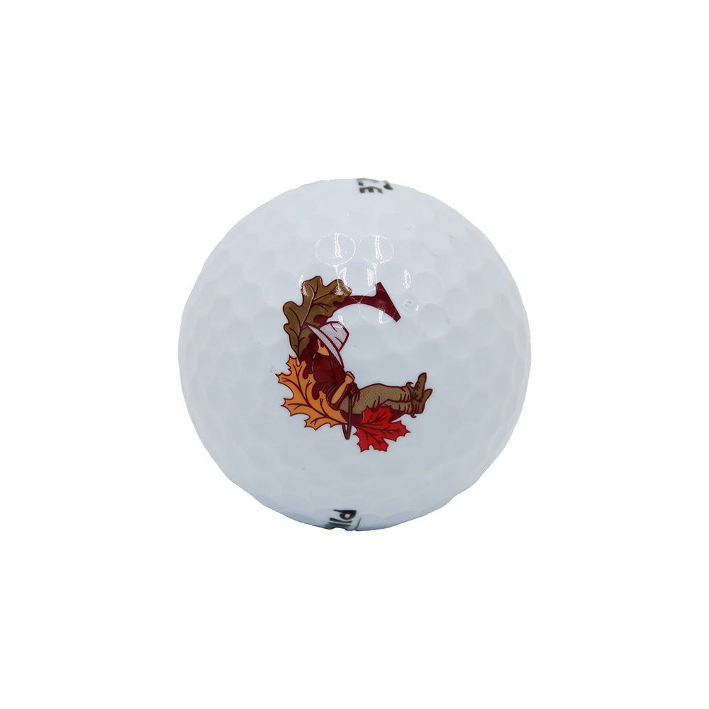 FALL Cradle Single Loose Logo Ball